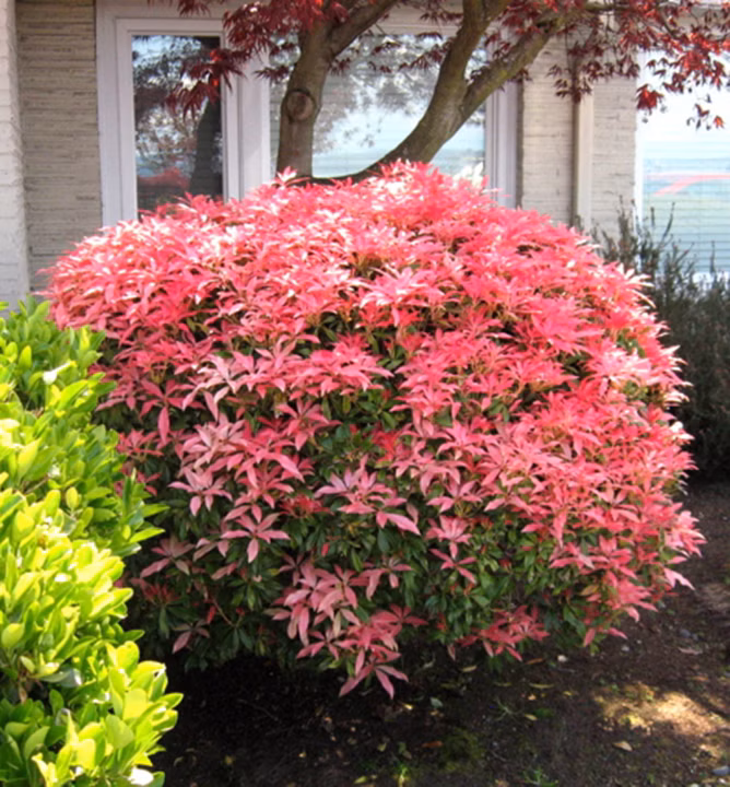 66f745a9eb9a52a71dd51ef90011bbc0