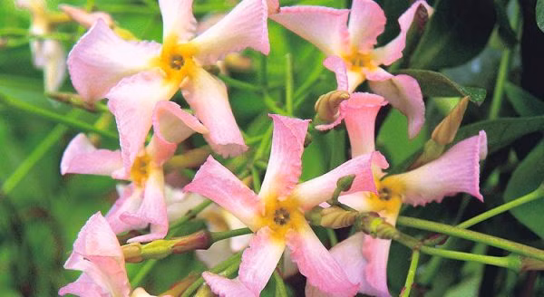 6738df11dc5f0a2a28450d23c81388e9