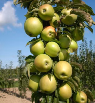 675de5f2ce9b454e3529986b453fcb5a