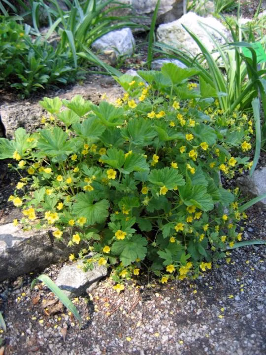 67cce32bd10d641d9c94212a947e1ef7