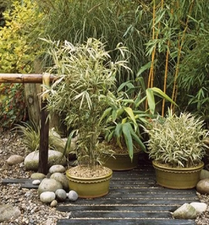 680d7f02007e54b318038d5a91b1d774