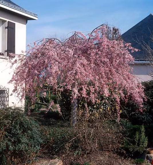 68157ad85efcf57058e310a770cad659