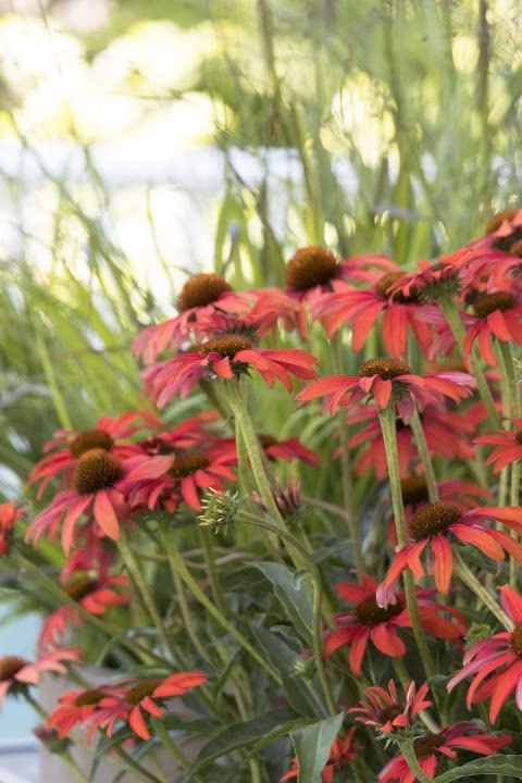 681f7b8ef80b351d87302db924b17ca8