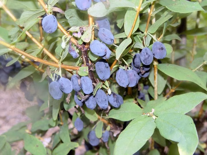 68213e5916aac05549f4228ed052bdf0