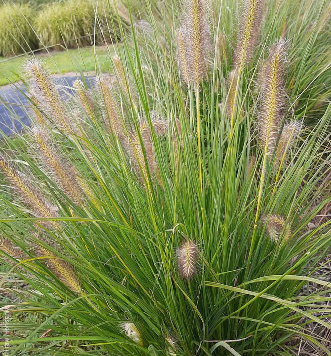 682de04eb036b354675f40d5d6c43e8e