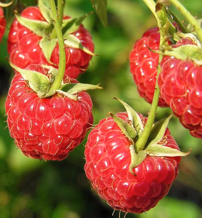 683d0db711234808e318c53765c2078c