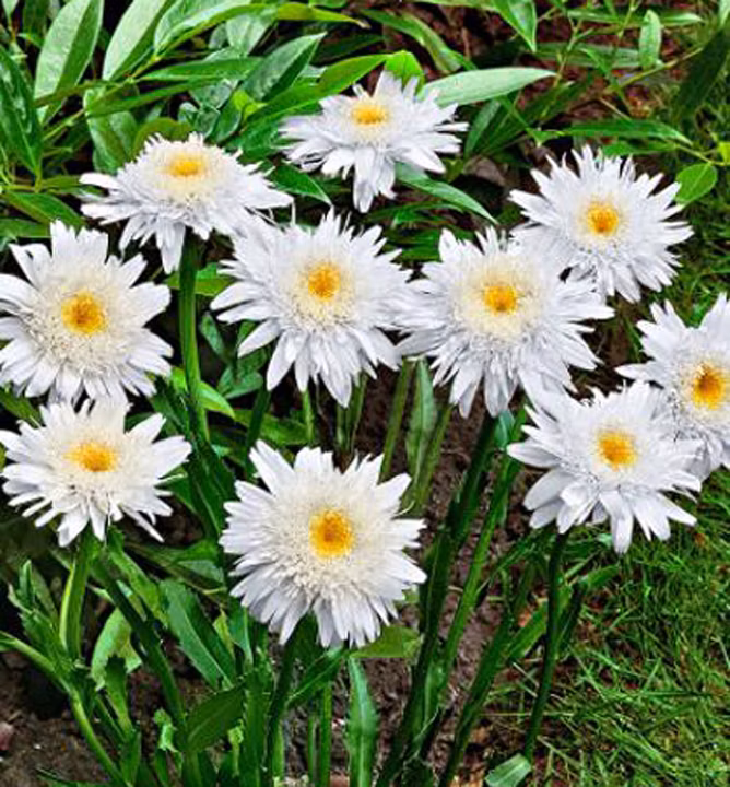 6847839e8d80d497a49d4be8cf79bf81