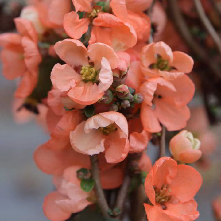 6849a5272bd85a3b40ed06cfac698f66