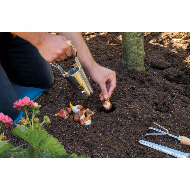 688a50612b8dd9f5e4b5740021990644