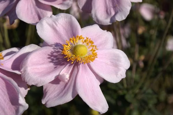 68974eb3787c8aac3e8cc6a3c59e2a49