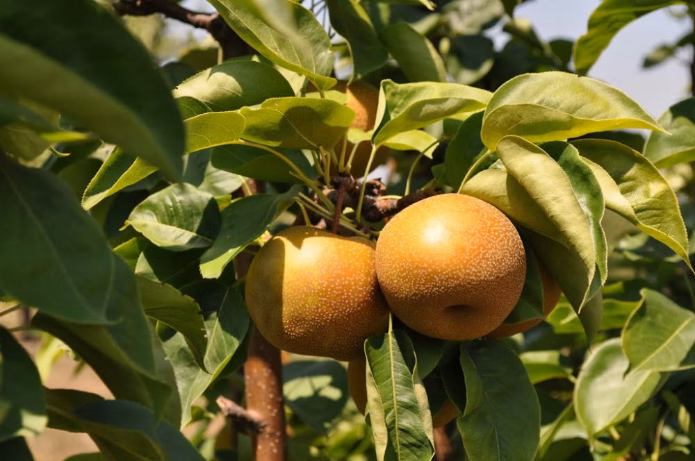 689c5c5a0600d5e1e88237f1aff34c78