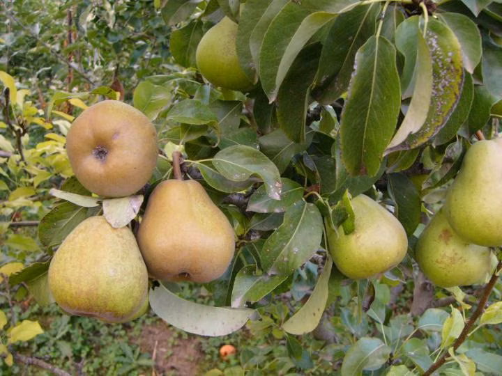 68e9db49723e85c472eeff604d5ff985