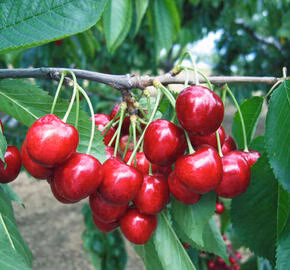 690f3917d6ec4d786643381b339fe43b