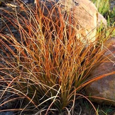 695edb27044dfa4e8ddb471c4cfecf03