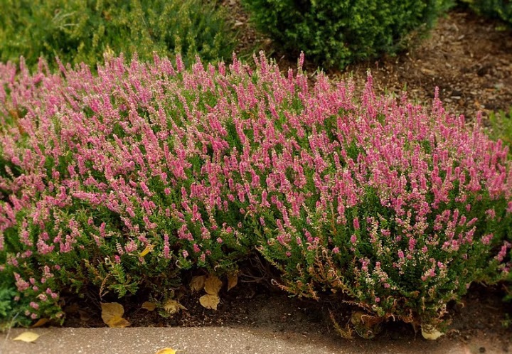 696a5e3b2cb5b25bac5c1b47444fde8d