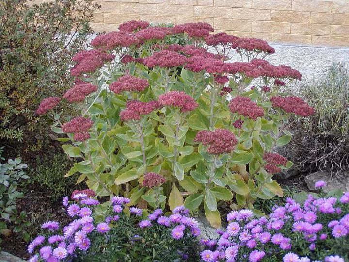 69b4edfddf6d71205f1b3cac26d5d5aa