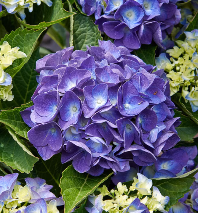 69b60cb17675f7c38552f3f0154b9e37