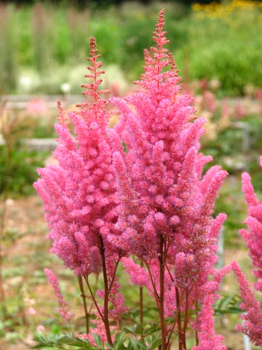 69d476c5b5d3eb3dcc1362e50d27c65f