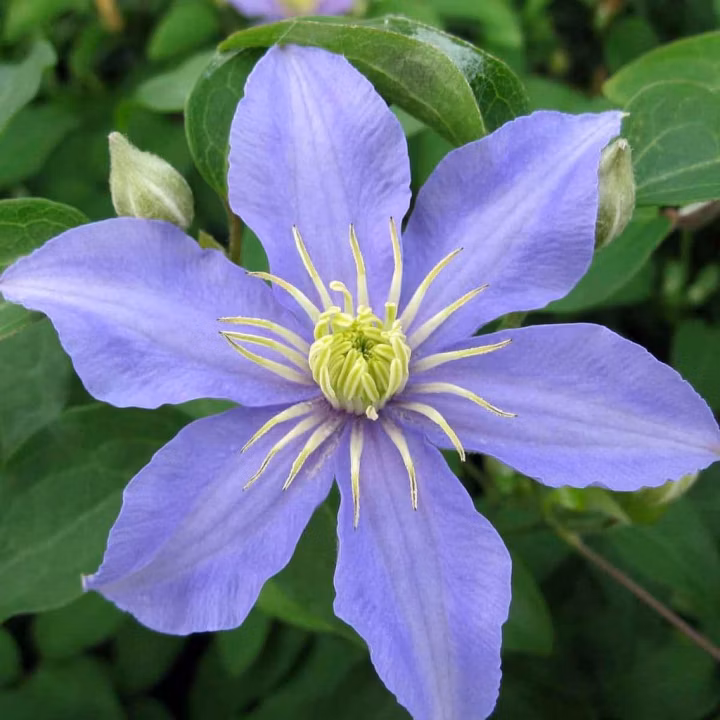 69d910d25336f1db88e1db4d47980df7