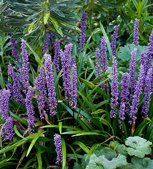 6a0d9938a74c85e847733b11988eb2cc