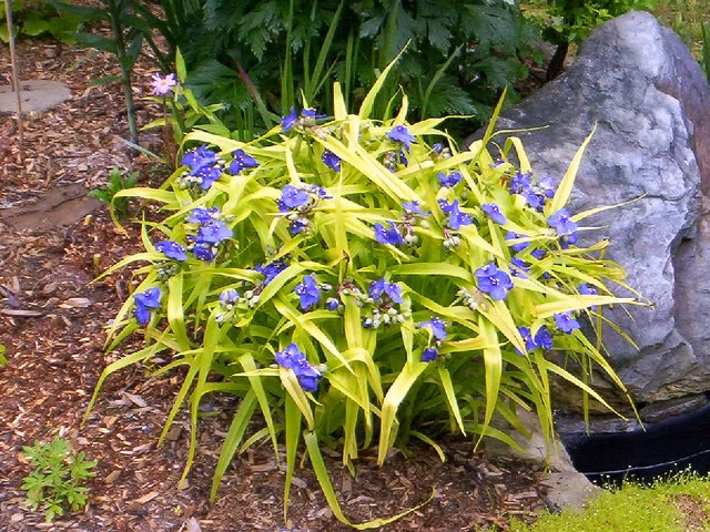 6a6d644edf726f3c2226c77db1e92bd5