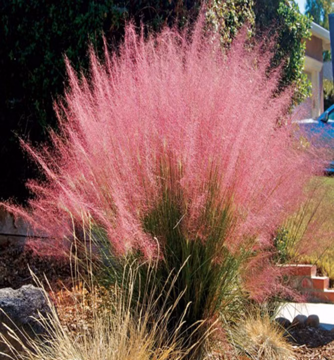 6aa17a95ea00a6aa18591a023e7b3f64