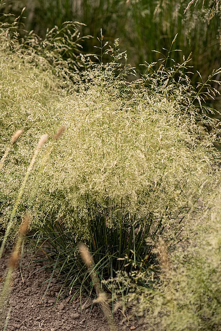 6acd937eef06c2212cf2c857a84ec9ef