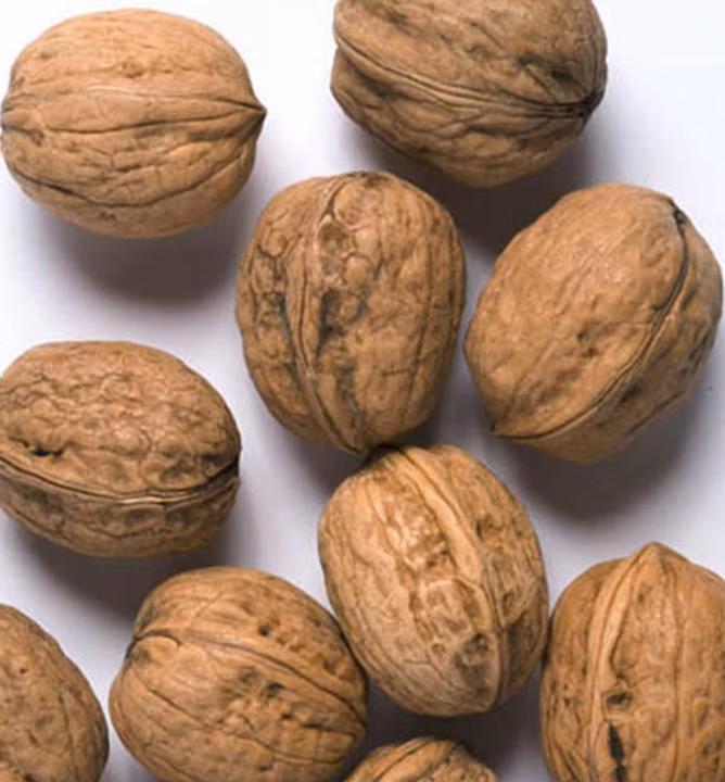 6afb0398999f047739f967dd92bd570a