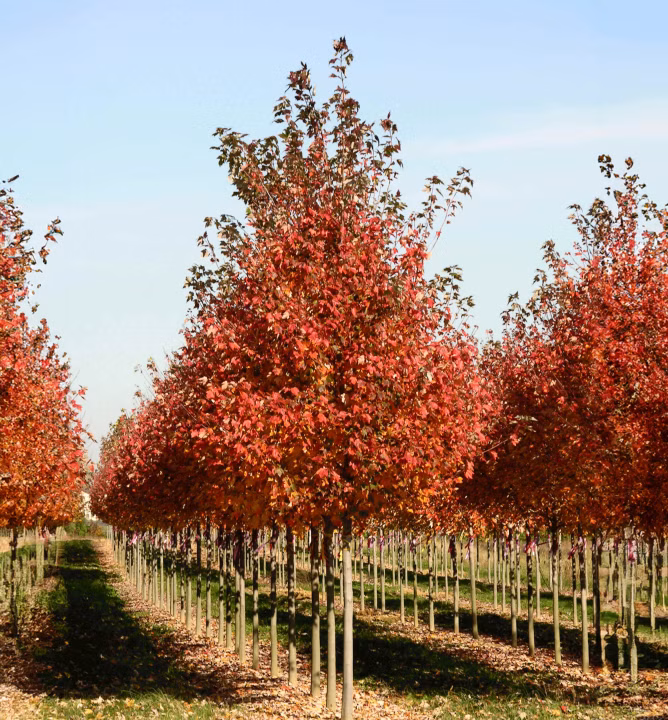 6b0ca2b110f8c0a61a432af94b484606