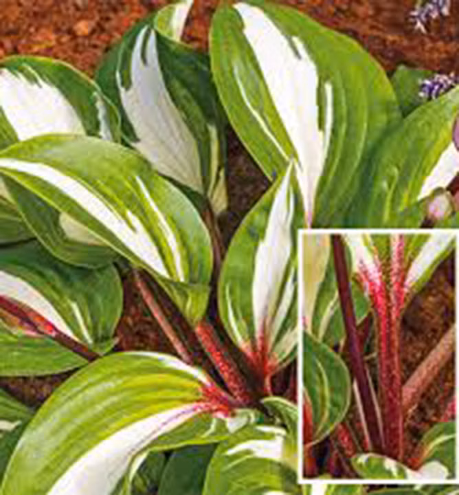 6b400fbf1529921003e7b5dc24ba6923