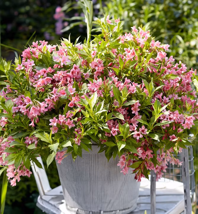 6b601a0089a2319999da7ca7a2da0577