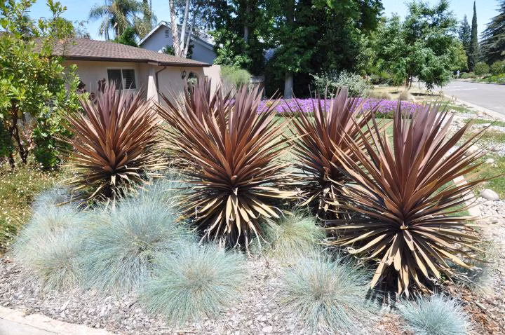 6ba18369eafee076c541a0675c44d700