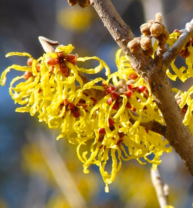 6ba50599416242d61517d3756ce98af0