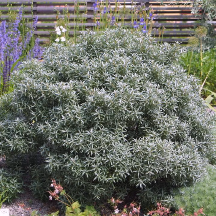 6c031725c9ee129151e77ed3e604caa9