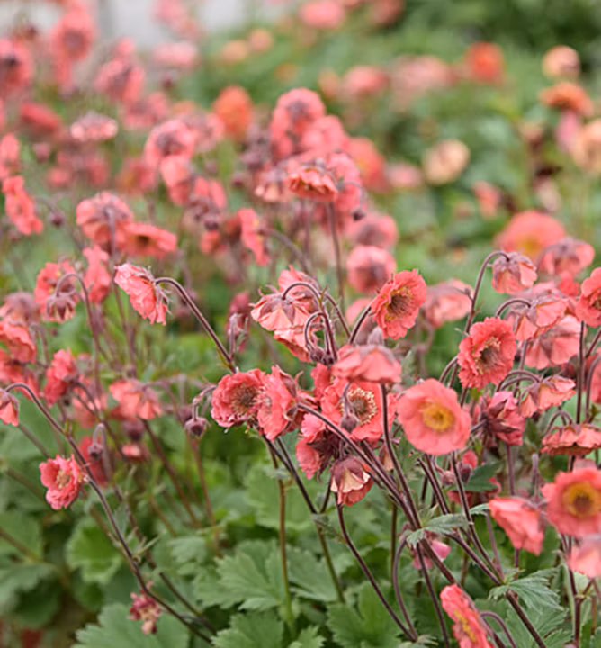 6c7cefd737f67d64949cc962555498f4