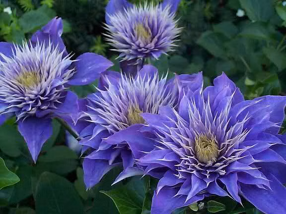 6c95424f767f4b8148c3e2dd67f280ae