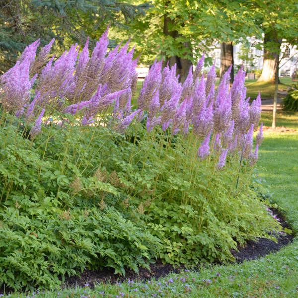 6cb1ba783cccb340d5baf7751649b782