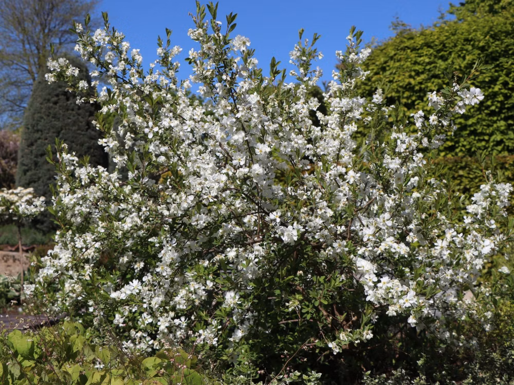 6cfac734a8bc80dfae1ace04b7c4a6ab