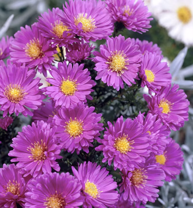 6d03931e3f10d72740e2d468c392326f