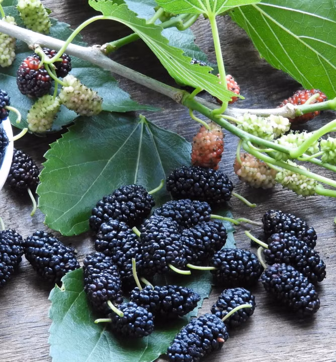 6d253dee03e8913039b74bcacdb79562