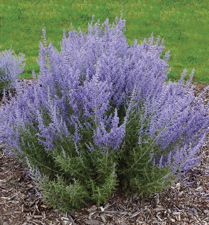 6d2630e084d476a6b4d47a55b81ddec2