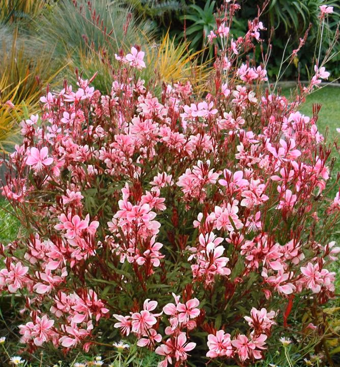 6d2871ec672b9b0c09b684ef6963161e