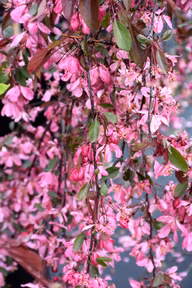 6d3300b0b0eb448032cff5beea09bd8c