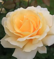 6d343ee5dee3b03974b88ec17f771aeb
