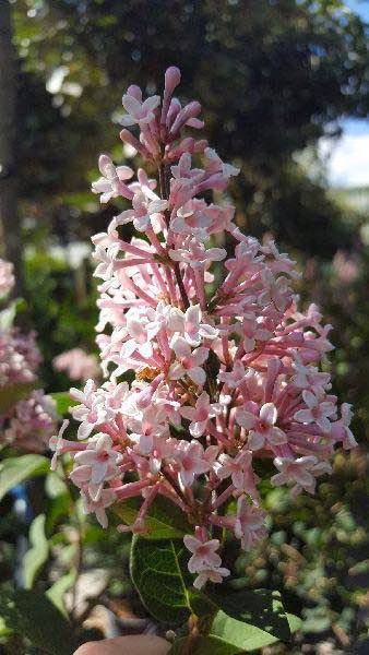 6d421e4f607391629a995f6199a53512