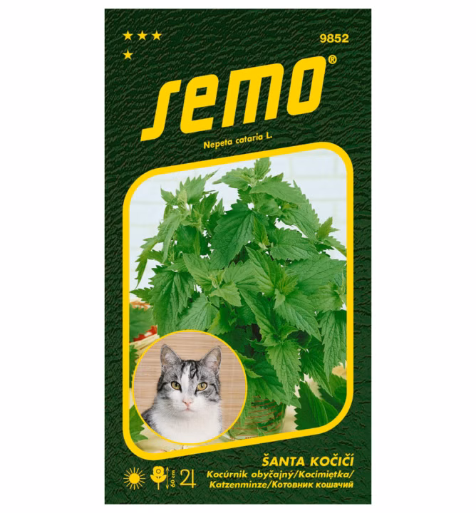 6d509cbe2ac32694473acb91472d8352