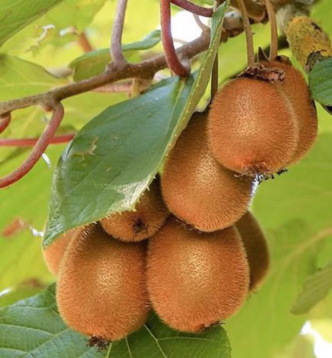 6d5192c861f4cf4dcb798f4c5cff7c07