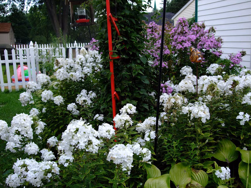 6d561826ee569688f0674e868958db40