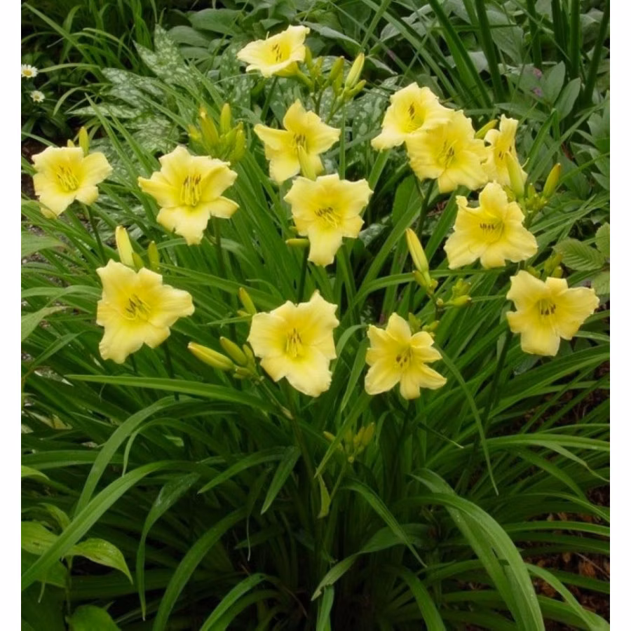 6d8648c0daf8f85eb0d7f4b6a80626c3