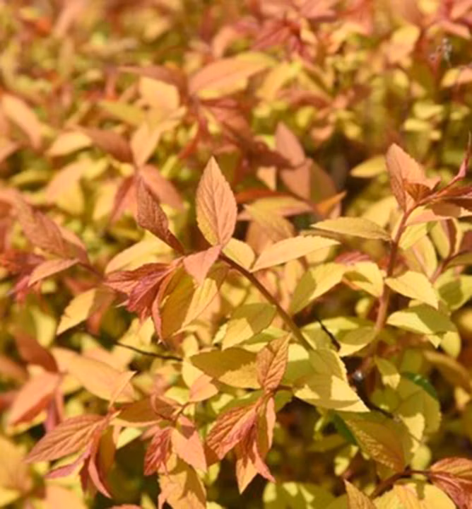 6d8713d6a98f1919a4c1a957e71d6333